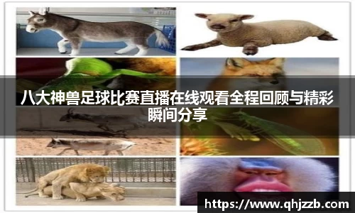 八大神兽足球比赛直播在线观看全程回顾与精彩瞬间分享