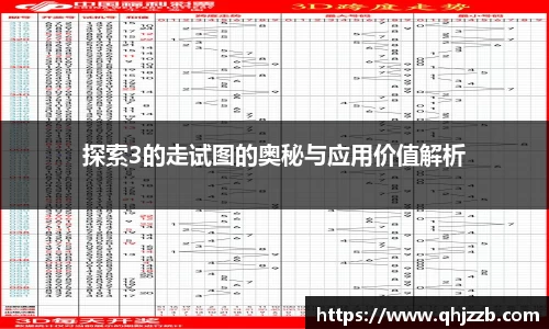 探索3的走试图的奥秘与应用价值解析