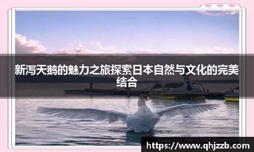 新泻天鹅的魅力之旅探索日本自然与文化的完美结合